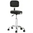 Sgabello Parrucchiere Regolabile Sedia con Schienale e Pompa Idraulica XANITALIA