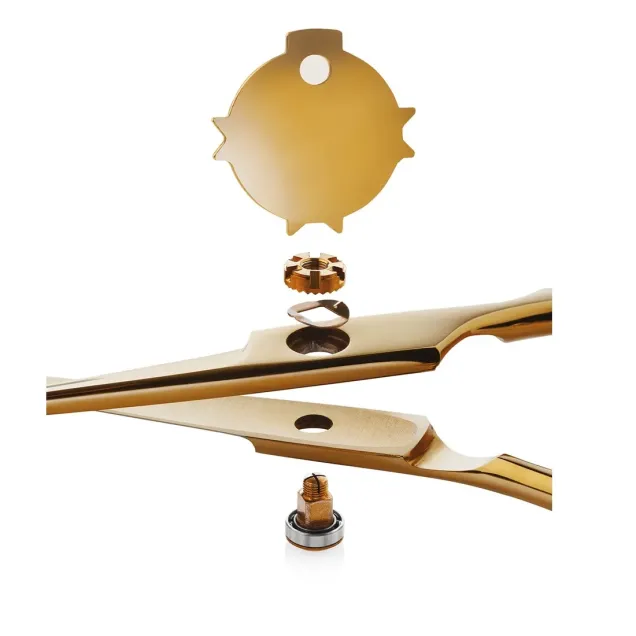 Dettaglio Forbici Parrucchiere d'Oro