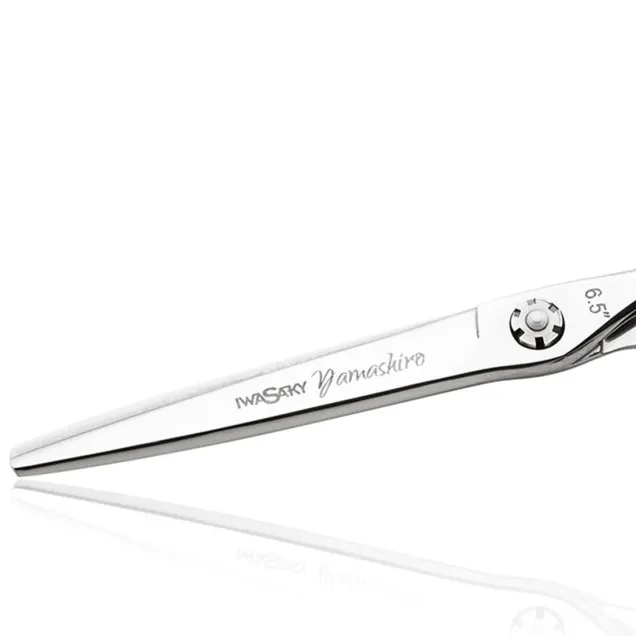 Forbici da Parrucchieri 6,5 Pollici