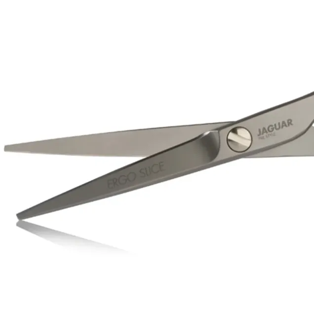 Lame Forbici per Capelli