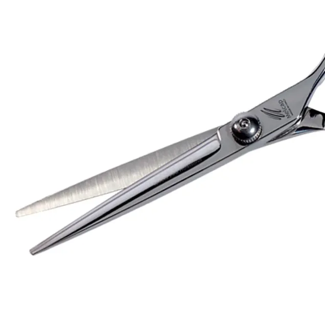 Forbici da Parrucchieri