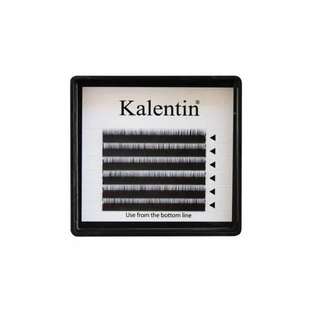 Extension Sopracciglia