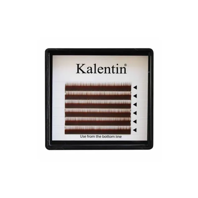 Extension Sopracciglia