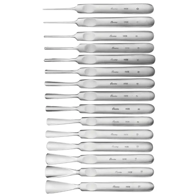 Sgorbia Fissa Professionale