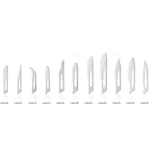 Lame Bisturi Sterili 2