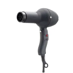 Gamma Piu Phon Professionale 2