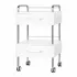 Carrello Estetista con 2 Cassetti