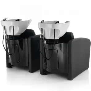 Lavatesta per Parrucchiere 2