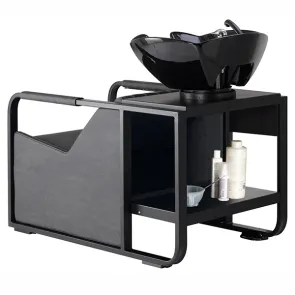 Lavatesta per Parrucchieri 2