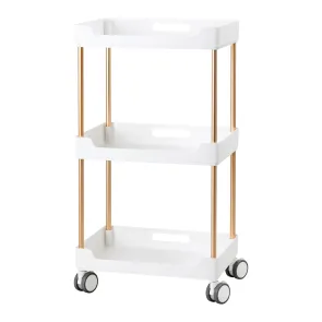 Carrello Estetista Professionale