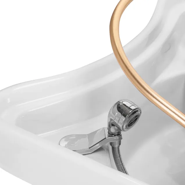 head spa lavatesta portatile