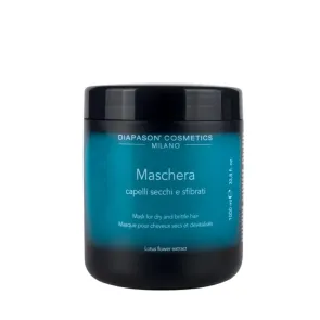 Maschera Capelli Secchi e Sfibrati