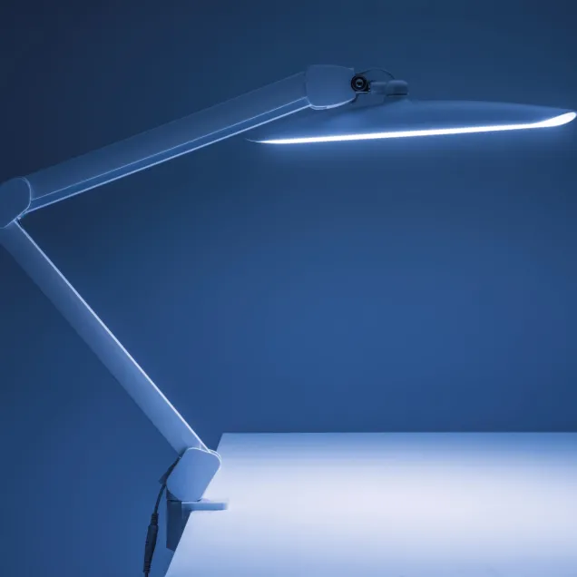 Lampada da Tavolo Professionale con 4 Livelli di Luminosità | NEW