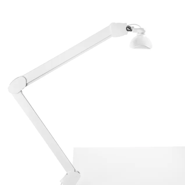 Lampada da Tavolo Professionale