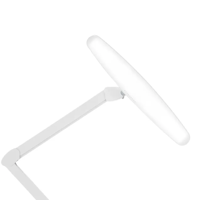 Lampada con Stativo Professionale con 4 Livelli di Luminosità | NEW