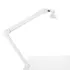 Lampada con morsetto e stativo a Led Professionale