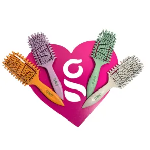 Spazzola Capelli Professionale Disticante